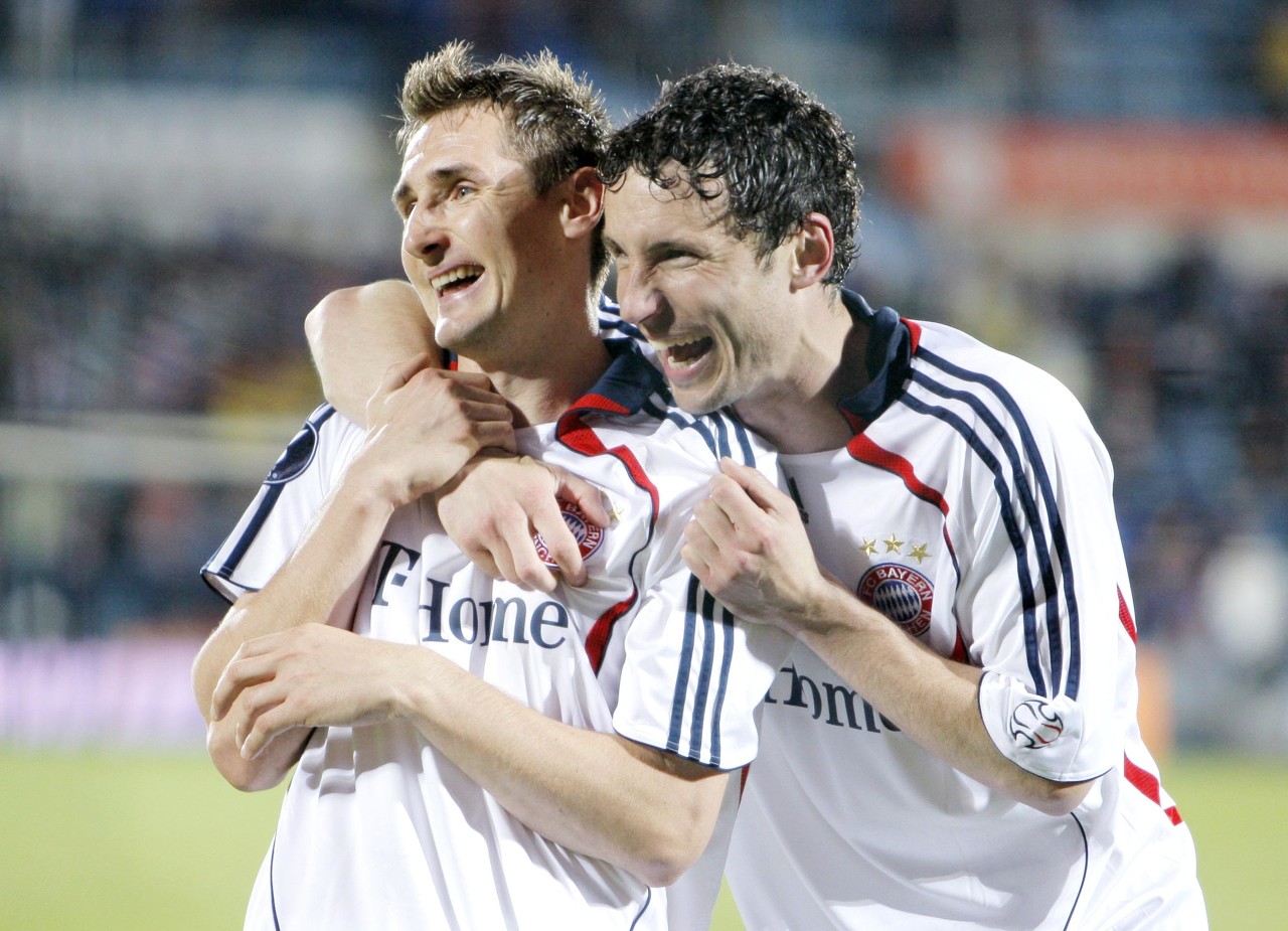 供了广阔的 供了广阔的